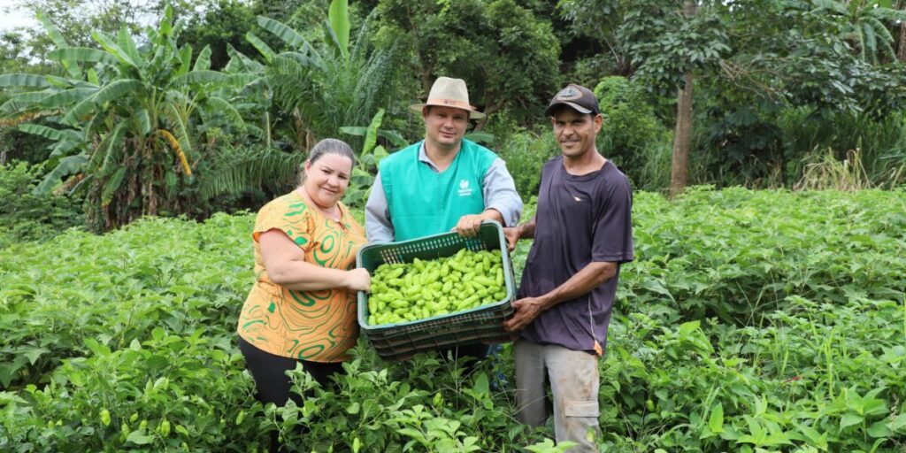 Agricultores atendidos pela Emater