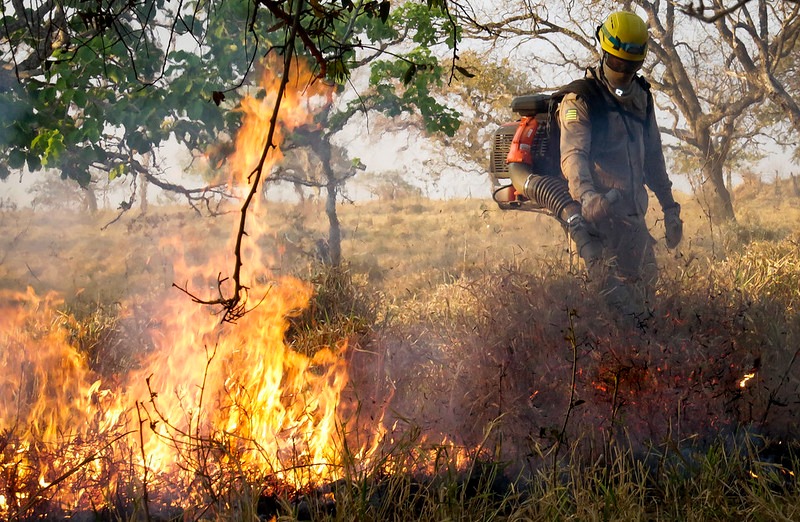 Bombeiro combate incêndio no Cerrado