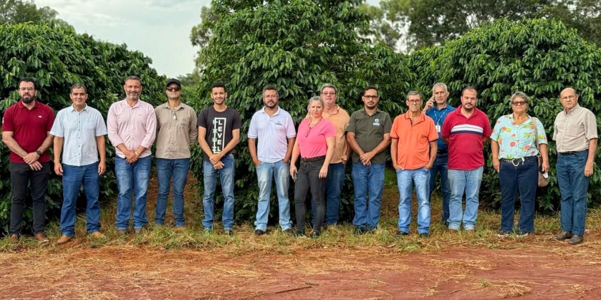 Emater e IF Goiano impulsionam pesquisa em cafeicultura no Cerrado