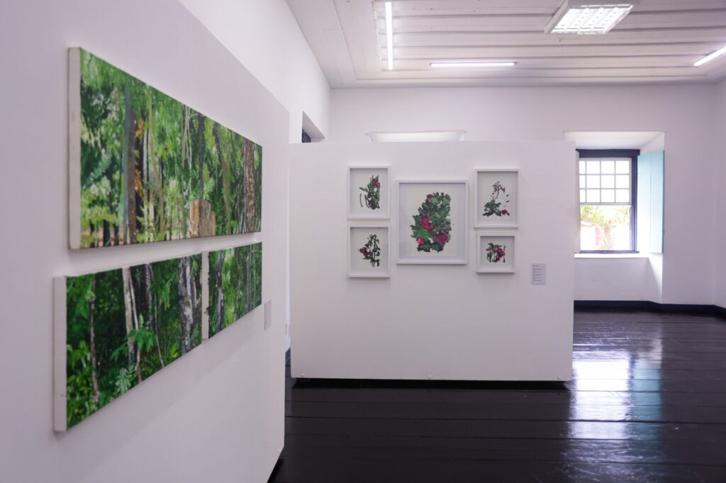 Exposições Fica 2025_Vinícius Schmidt