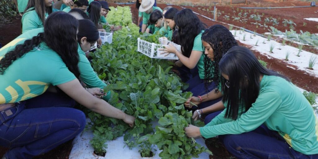 Alunos na horta do Agrocolégio Maguito Vilela