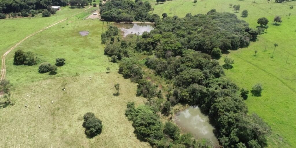 Área recuperada por projeto da Emater em Jandaia