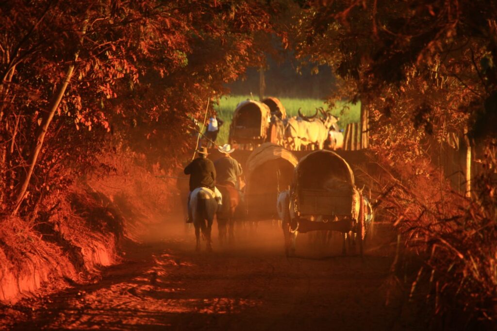 Trindade recebe exposição sobre fé e cultura dos carreiros / Fotos: Lázaro Neves