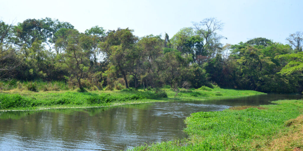 Semad lança “Agro Sustentável” nesta quarta-feira
