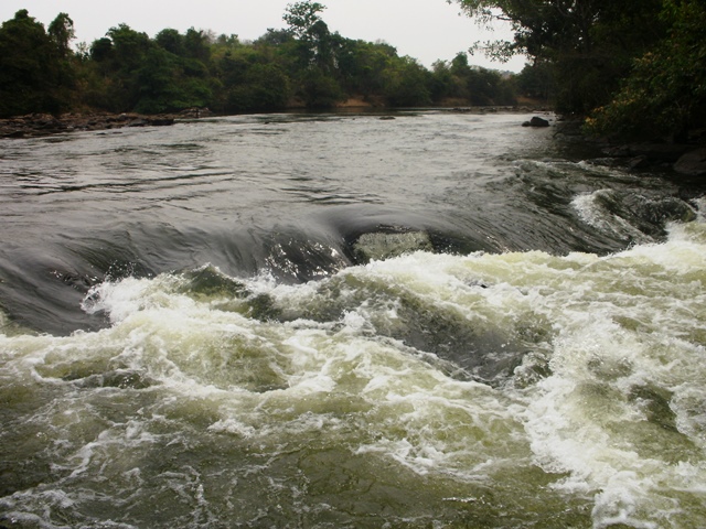 Semad lança “Agro Sustentável” nesta quarta-feira