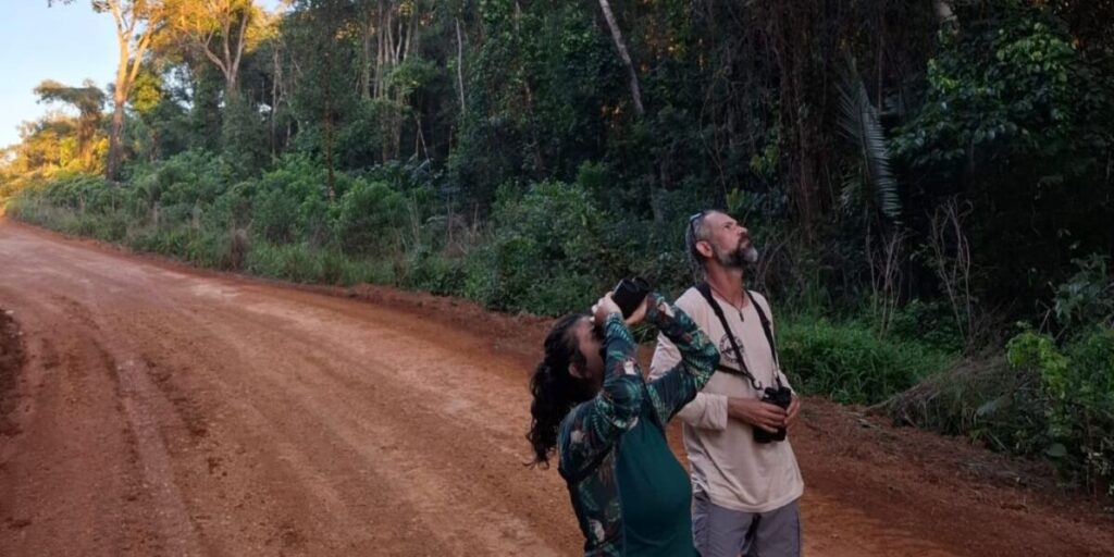Semad investe no turismo de observação de aves na região de Alto Paraíso
