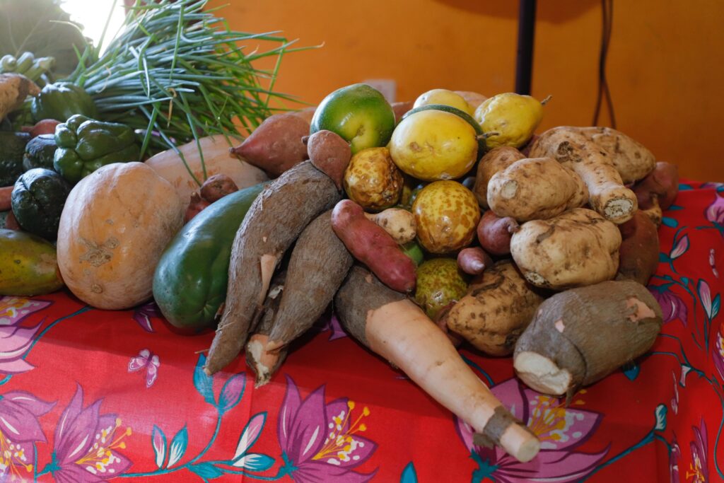 Governo de Goiás amplia lista de produtos comercializados no PAA Quilombola