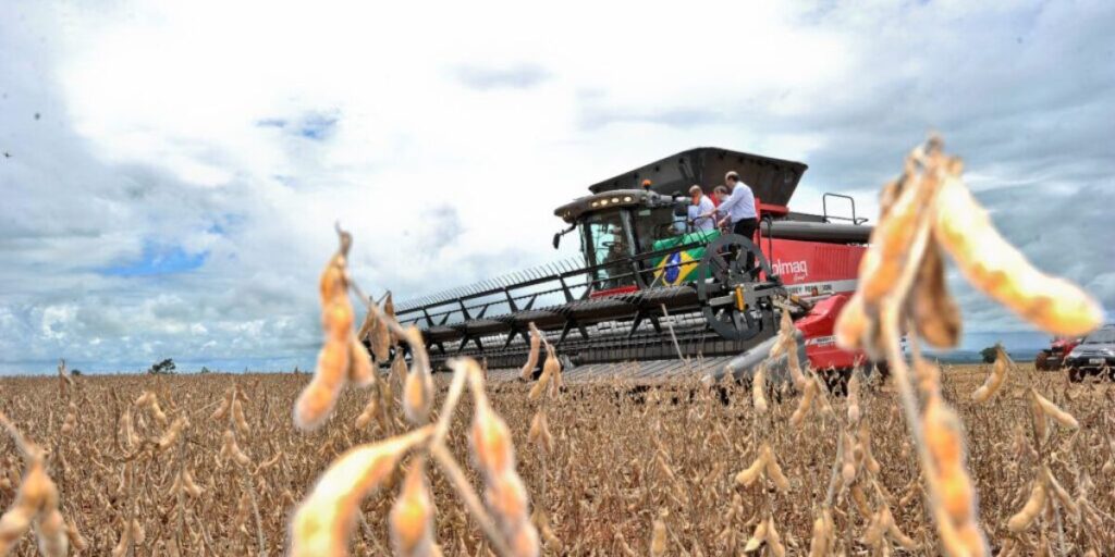 Produção de soja no campo com colheitadeira