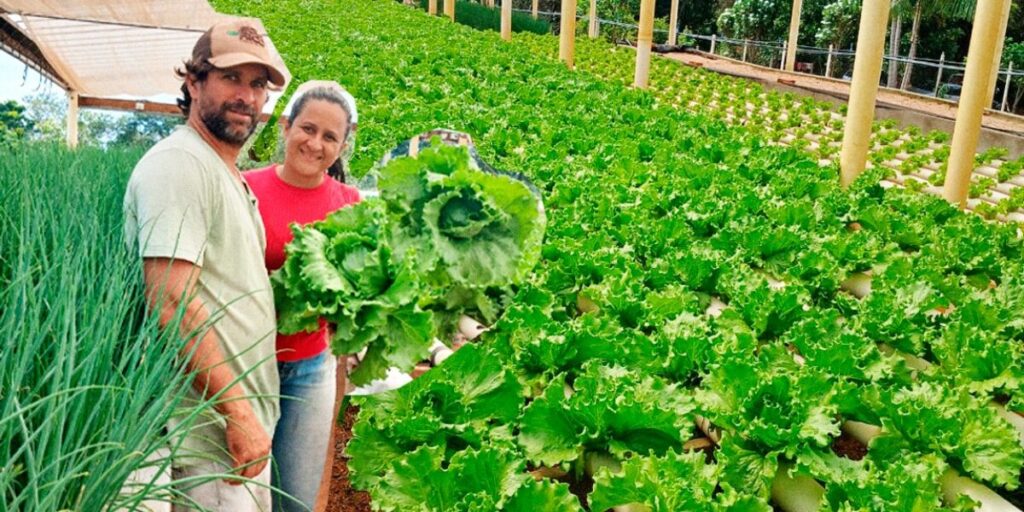 Produtores rurais transformam realidades com assistência técnica e capacitação - Emater Goiás