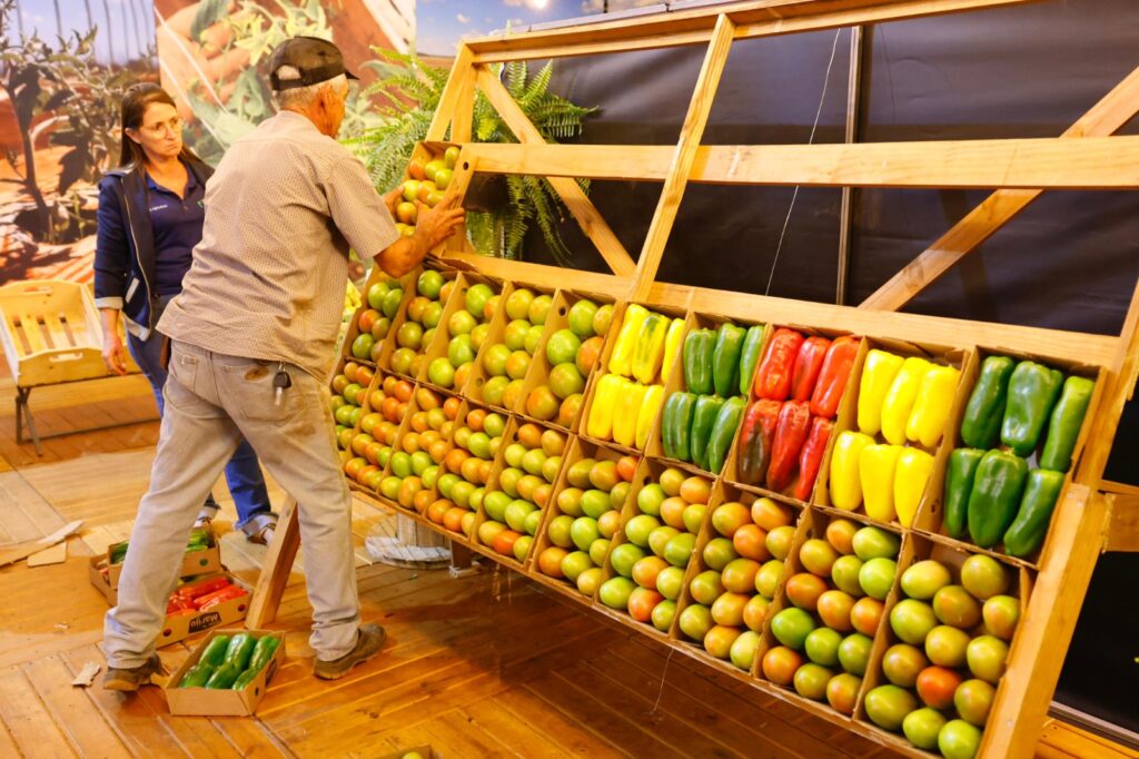 Protagonismo agrícola de Goianápolis é destaque na 39ª edição da Festa do Tomate