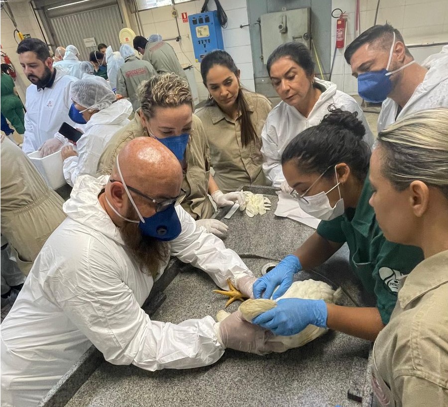 Treinamento da Agrodefesa sobre gripe aviária