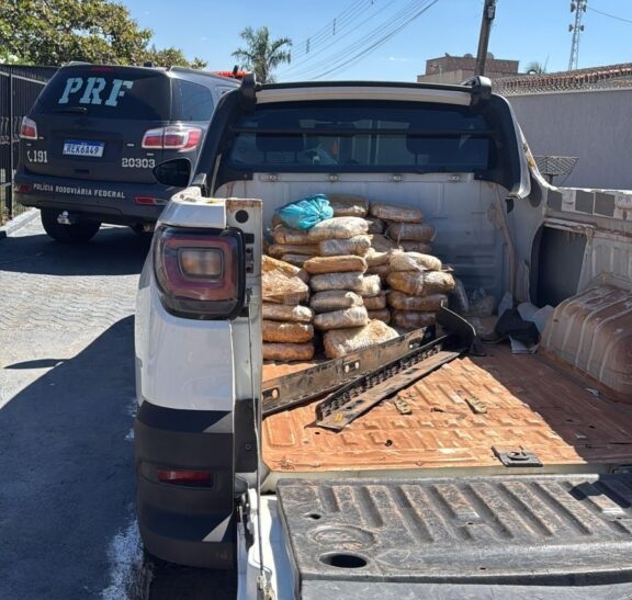 VEÍCULO CARREGADO DE SKUNK