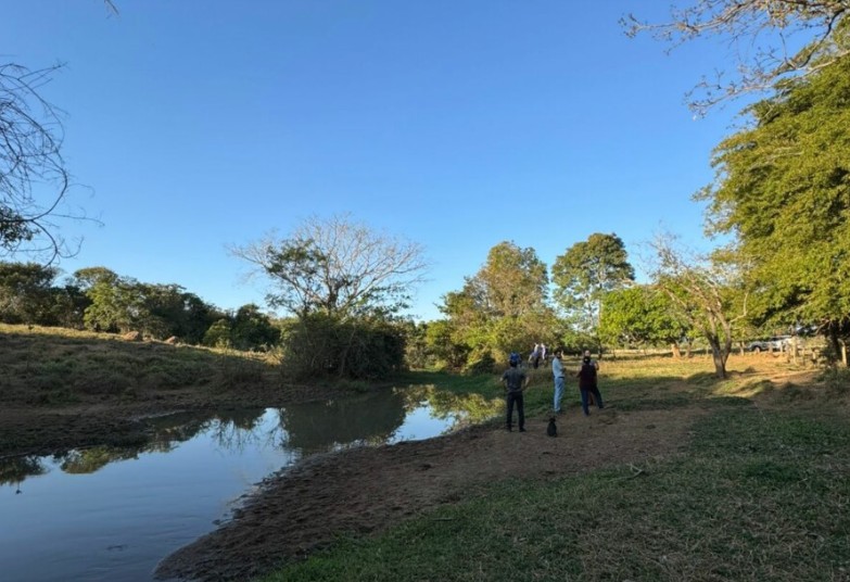 crime ambiental Palminópolis