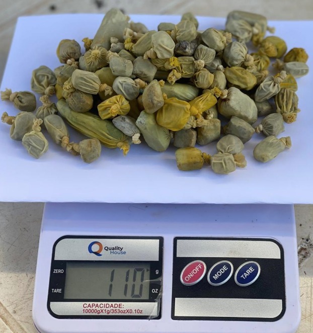 Cápsulas de maconha que estavam no estômago do preso da CPP de Formosa