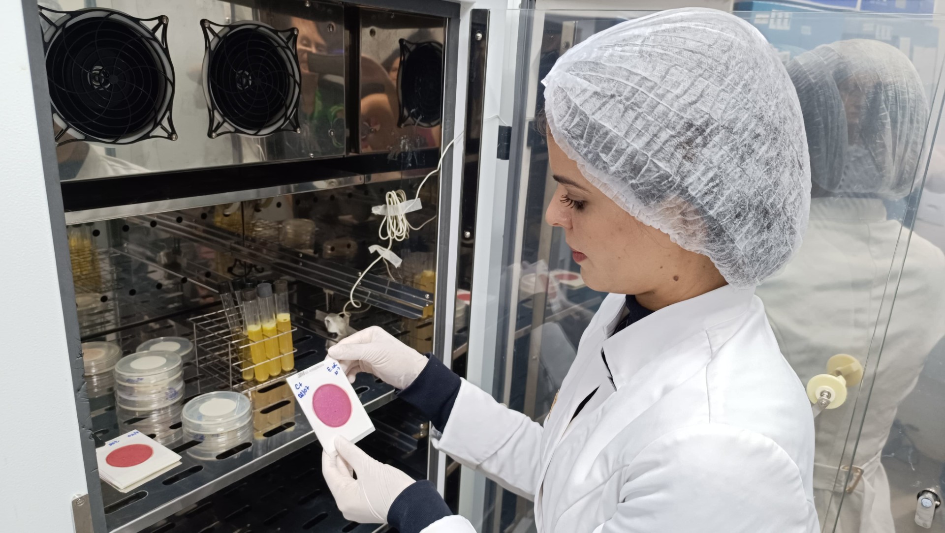 LabQuali da Agrodefesa realiza cerca de 10 mil análises de alimentos de origem animal por ano