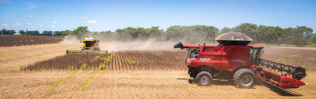 Goiás registra superávit de US$ 826 milhões na balança comercial de julho