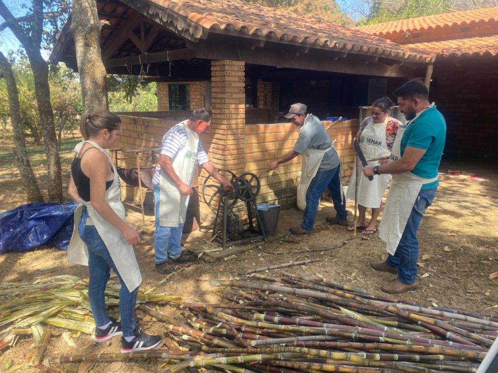 Cachaça artesanal: tradição e oportunidade no Entorno