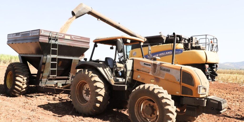 Estação Experimental Santa Vitória começa colheita de milho