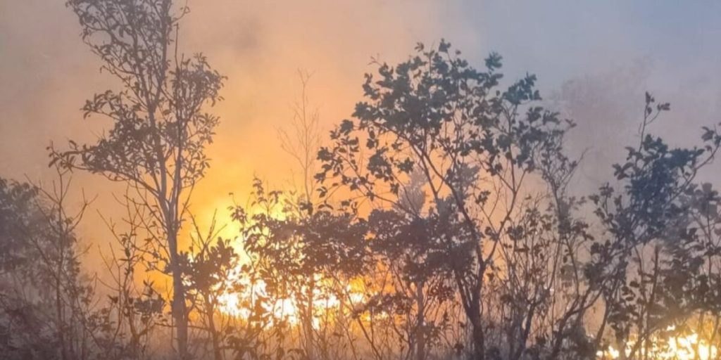 Queimadas em Goiás disparam 152% em uma semana