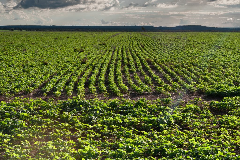 FCO Rural ultrapassa R$ 1 bilhão em financiamentos aprovados em 2025