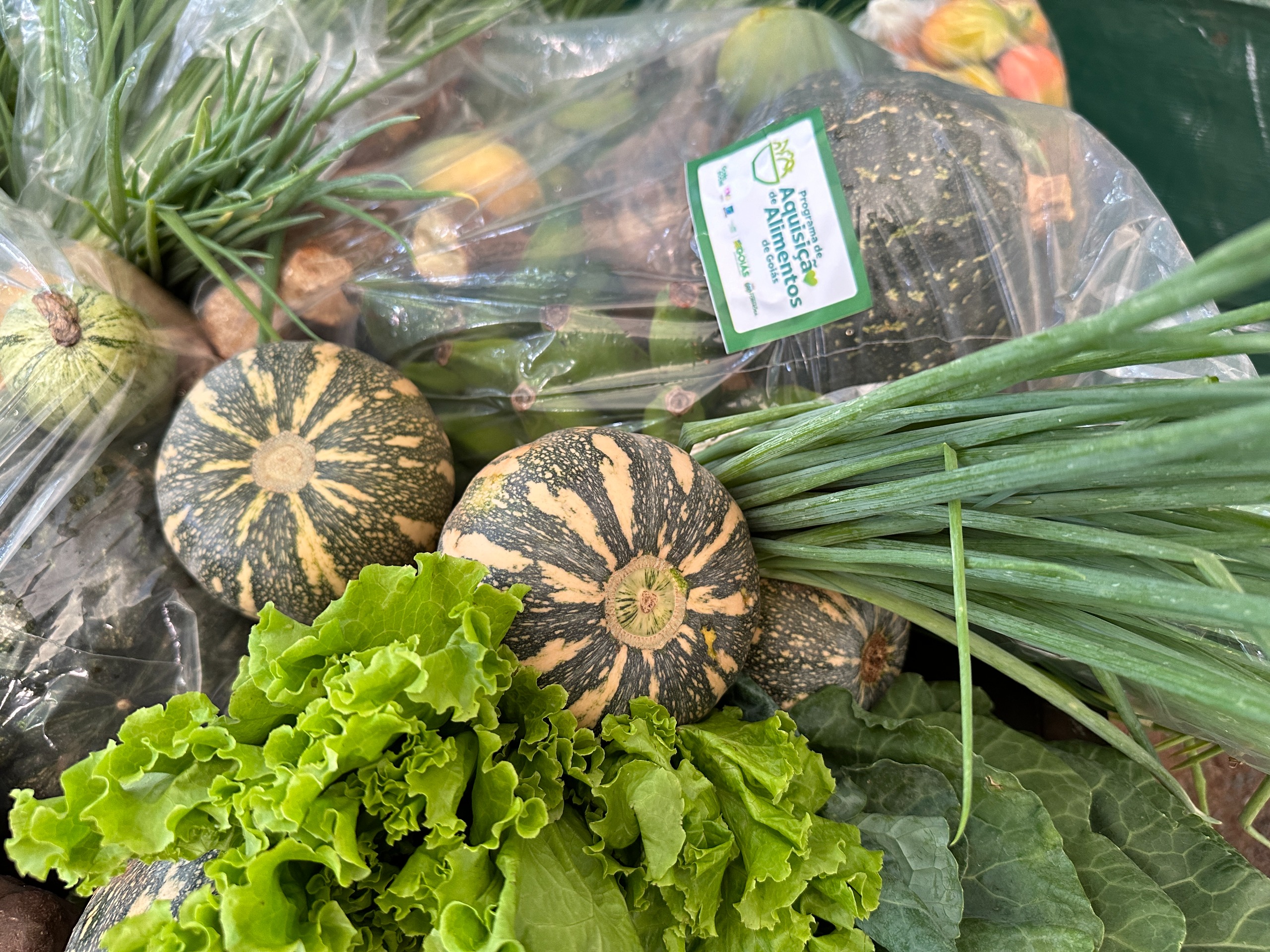 Governo lança novo edital do Programa de Aquisição de Alimentos Estadual