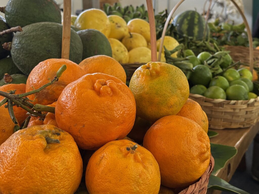 Governo lança novo edital do Programa de Aquisição de Alimentos Estadual