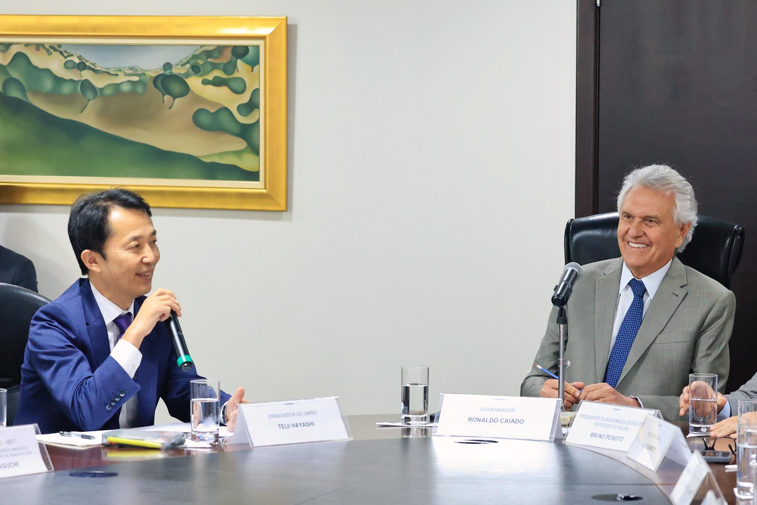 Goiás e Japão avançam em cooperação para exploração e processamento de terras raras