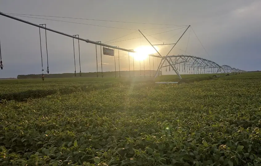 Vale do Araguaia é aposta estratégica para produção agrícola