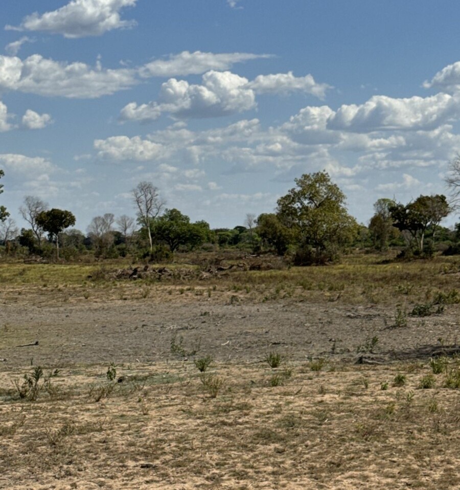 Ação integrada atua no ecossistema do Lago Luiz Alves e do Rio Araguaia