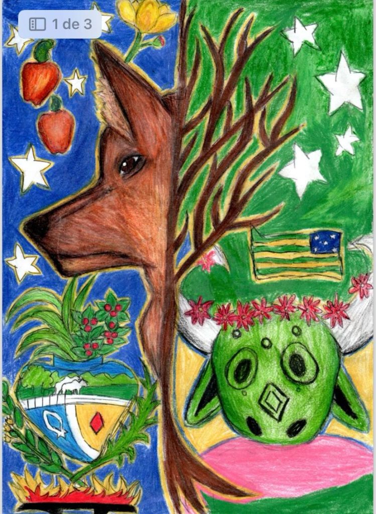 Educação anuncia vencedores para estampar as capas dos cadernos