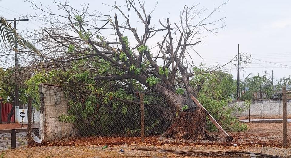 Previsão é de pancadas isoladas, principalmente à tarde, com raios e ventos de até 60 km/hora. População deve seguir medidas de segurança