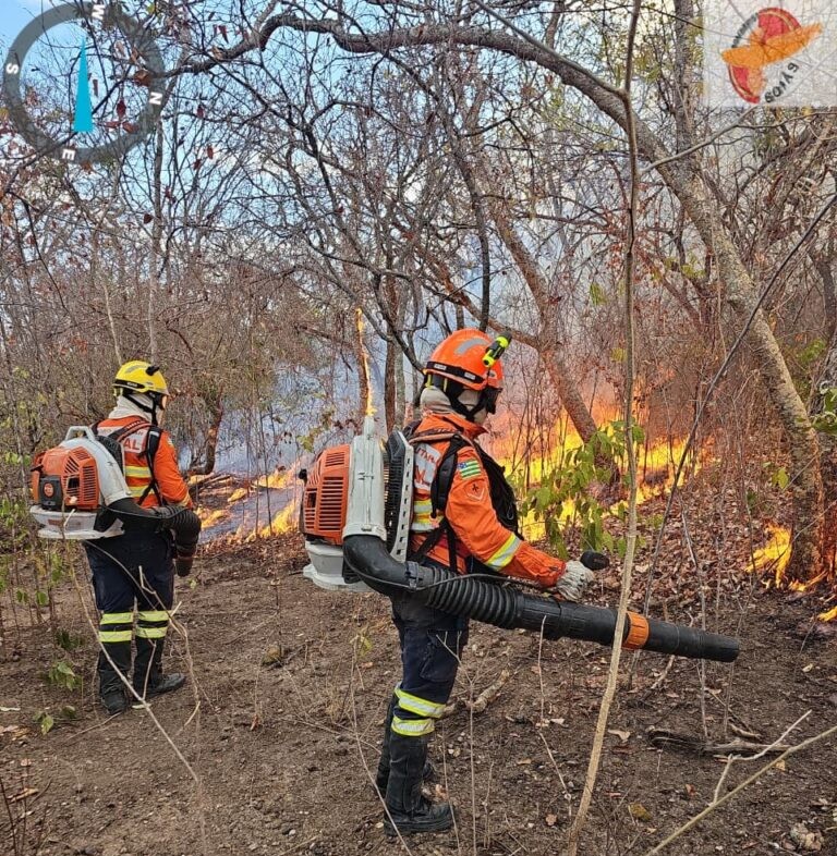 Identificados autores de incêndios de quase 90 mil hectares