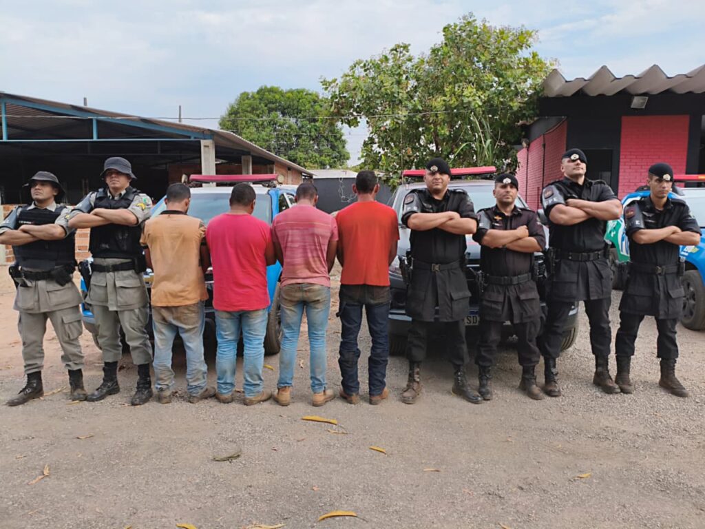 prisão de grupo especializado em furto de gado