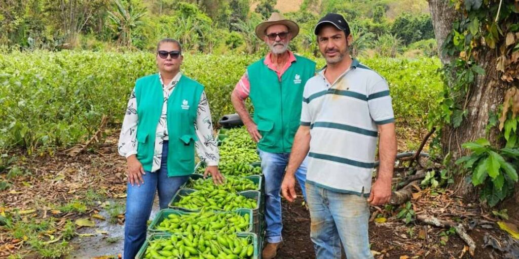 PAA Goiás bate recorde de inscrições e supera metas