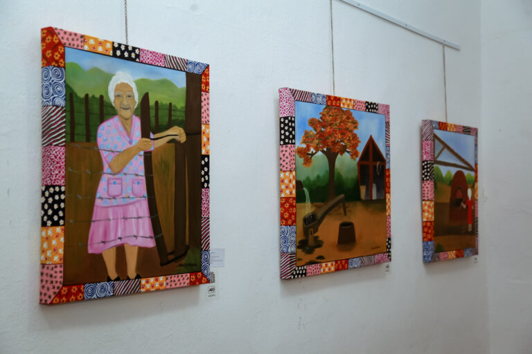 Câmara de Vereadores recebe exposição de Selma Di Medeiros