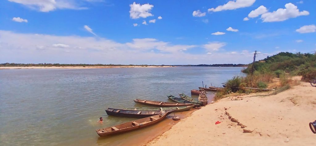 UEG integra estudo que mapeia os biomas Cerrado e Caatinga