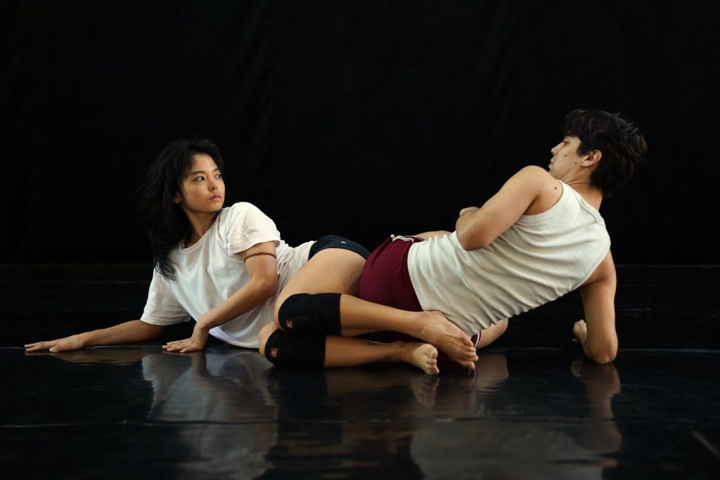 Espetáculo de balé A Morte da Galinha Caipira