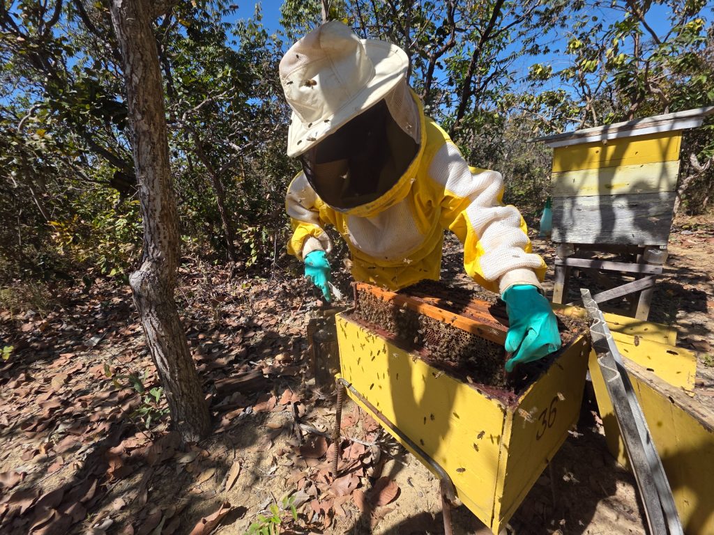 Estado publica novo edital para melhoria de agroindústrias de pequeno porte