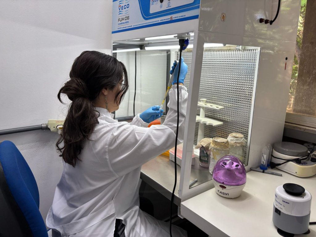 Fapeg alerta para prazo de inscrição a bolsas de excelência