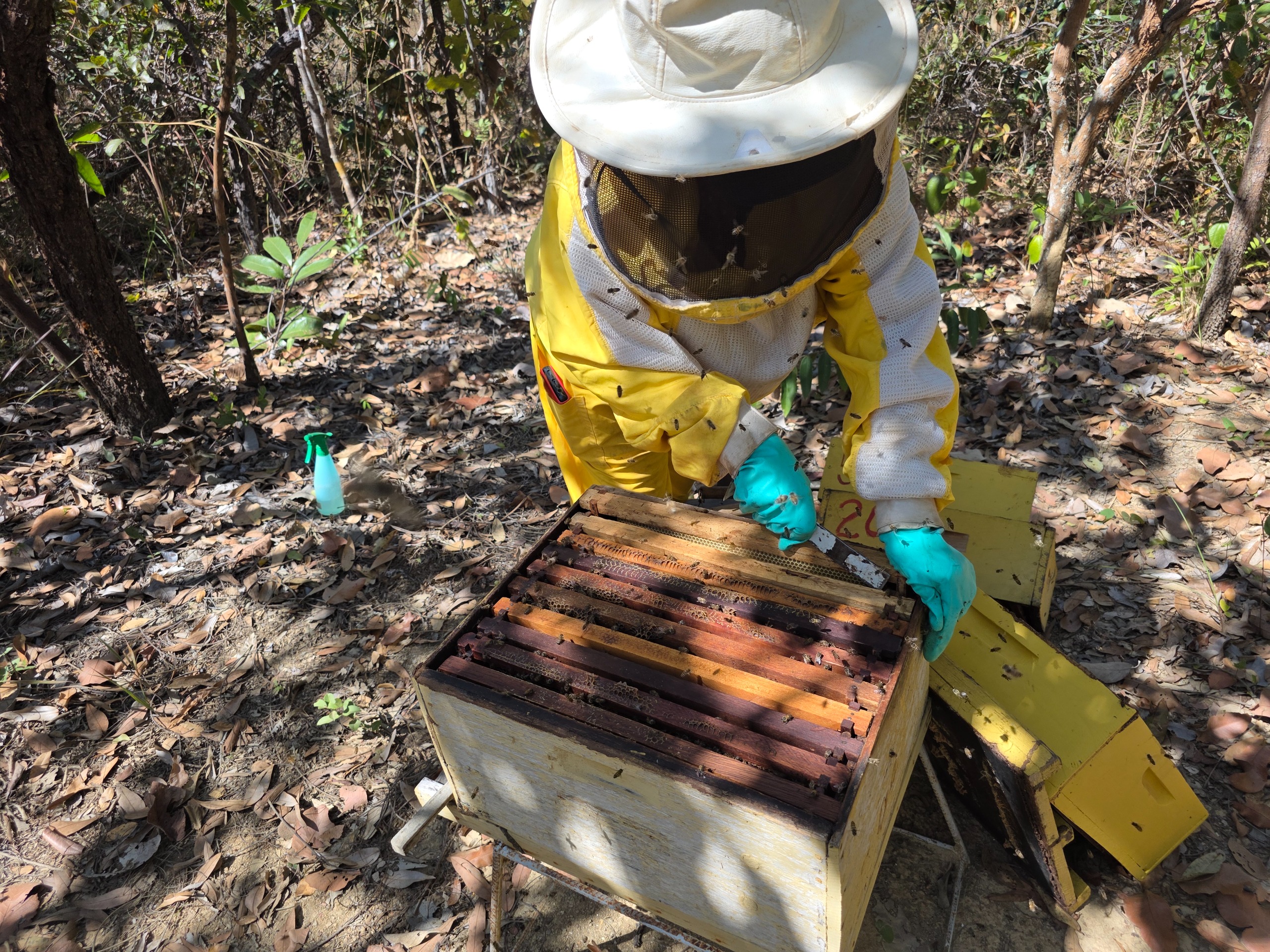 Último dia para cadastro em projeto de melhoria de agroindústrias do Governo de Goiás