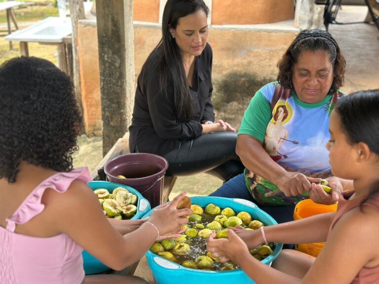 Cidade Ocidental celebra colheita do marmelo