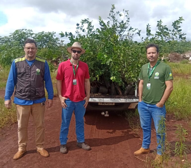 Equipe da Agrodefesa apreende muda cítrica