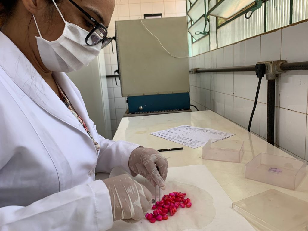 Laboratório de Análise de Sementes da Agrodefesa