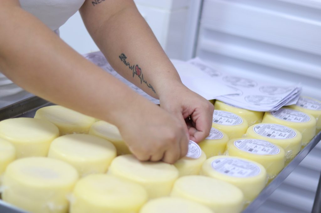 Produção de queijo
