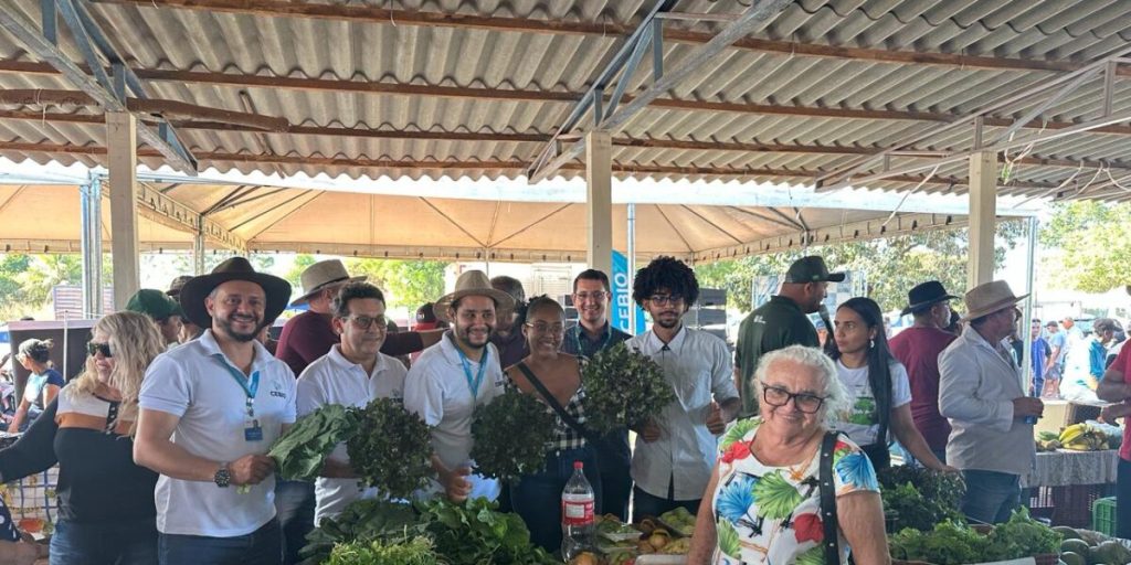Feira para agricultores em Formosa