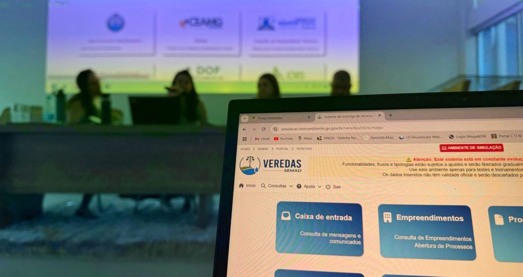 Tela de computador com Sistema Veredas