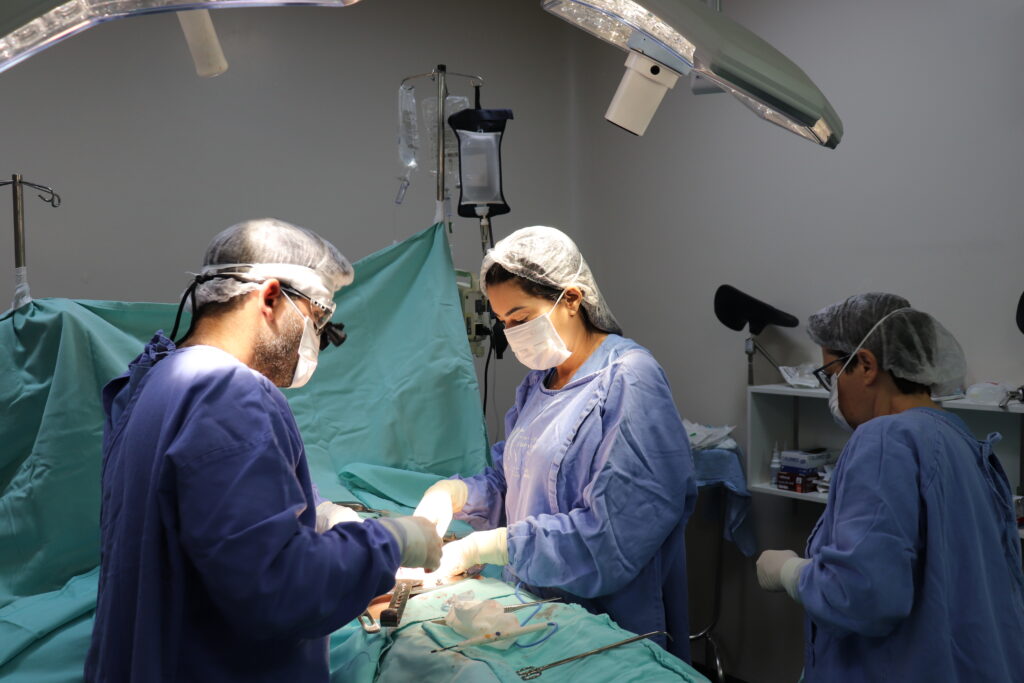 HGG é o maior transplantador de órgãos do Centro-Oeste