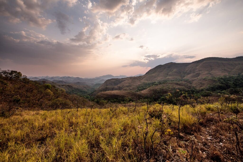 Aberto edital para projetos de preservação do Cerrado em Niquelândia