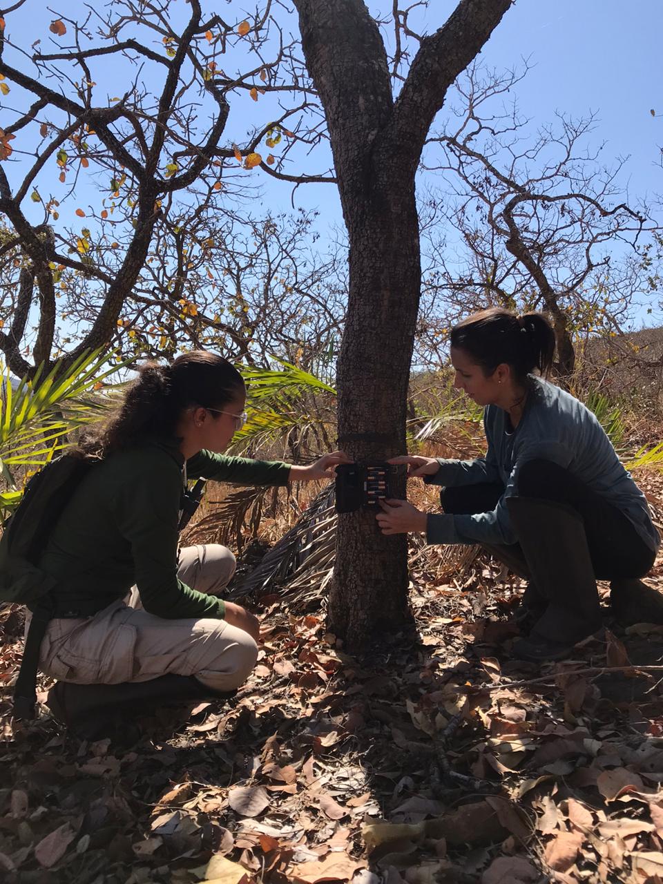 Aberto edital para projetos de preservação do Cerrado em Niquelândia