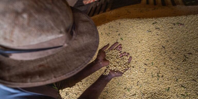 Balança comercial de Goiás registra superávit de US$ 803 milhões